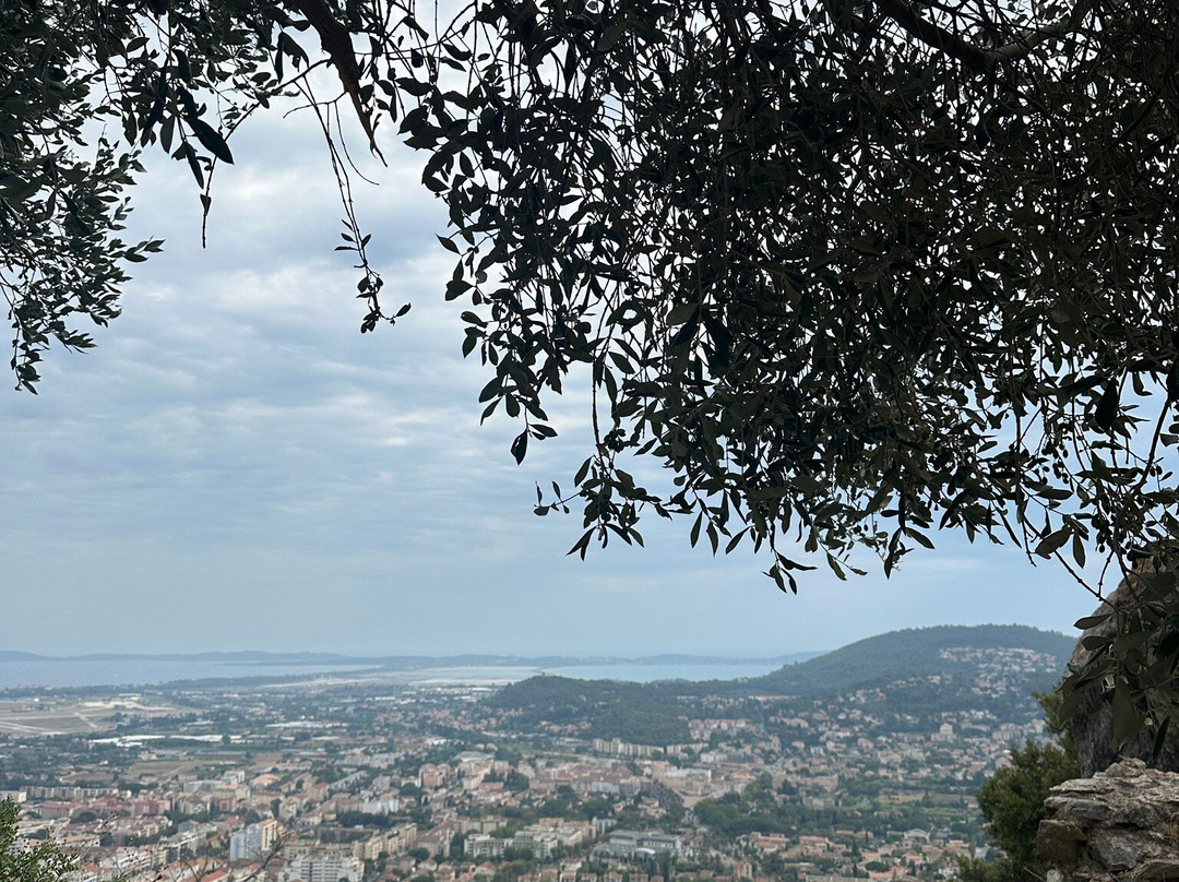 Château d'Hyères-耶尔必去景点