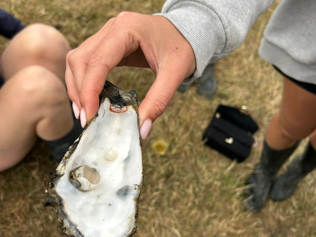 Kookstudio Flang in de Pan-Hoorn必去景点