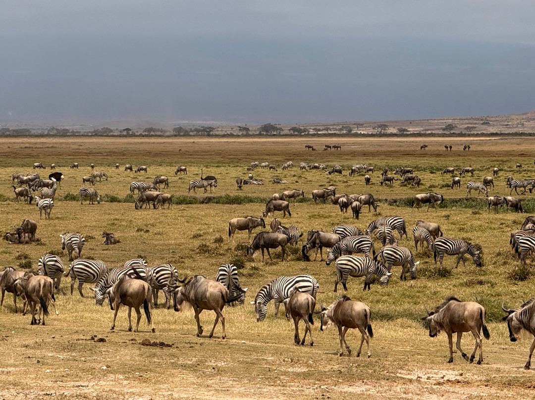 Brighte Maasai Adventures-Mara North Conservancy必去景点