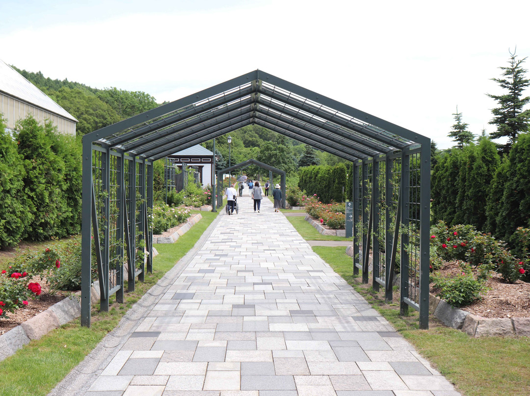 Iwamizawa Park-岩见泽市必去景点