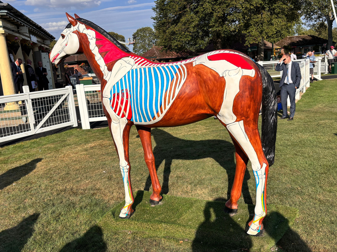 Ripon Racecourse-里彭必去景点