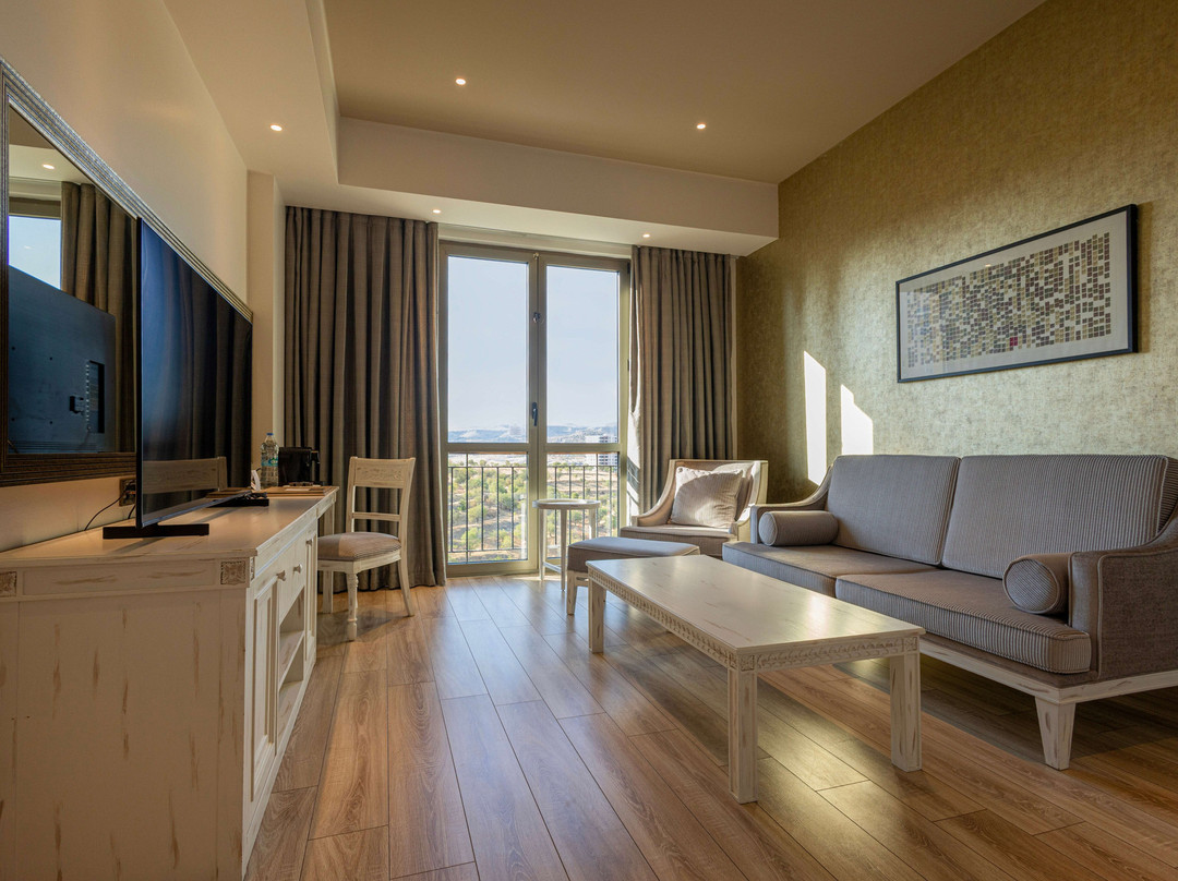 Ramada Plaza by Wyndham Mardin主图