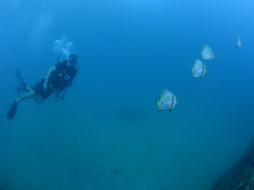 PKT Diving-大皮皮岛必去景点