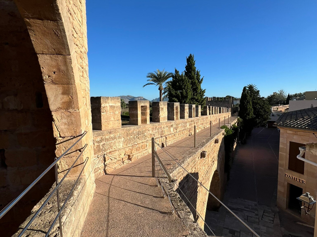 Murada Medieval D'alcúdia-阿库迪亚必去景点