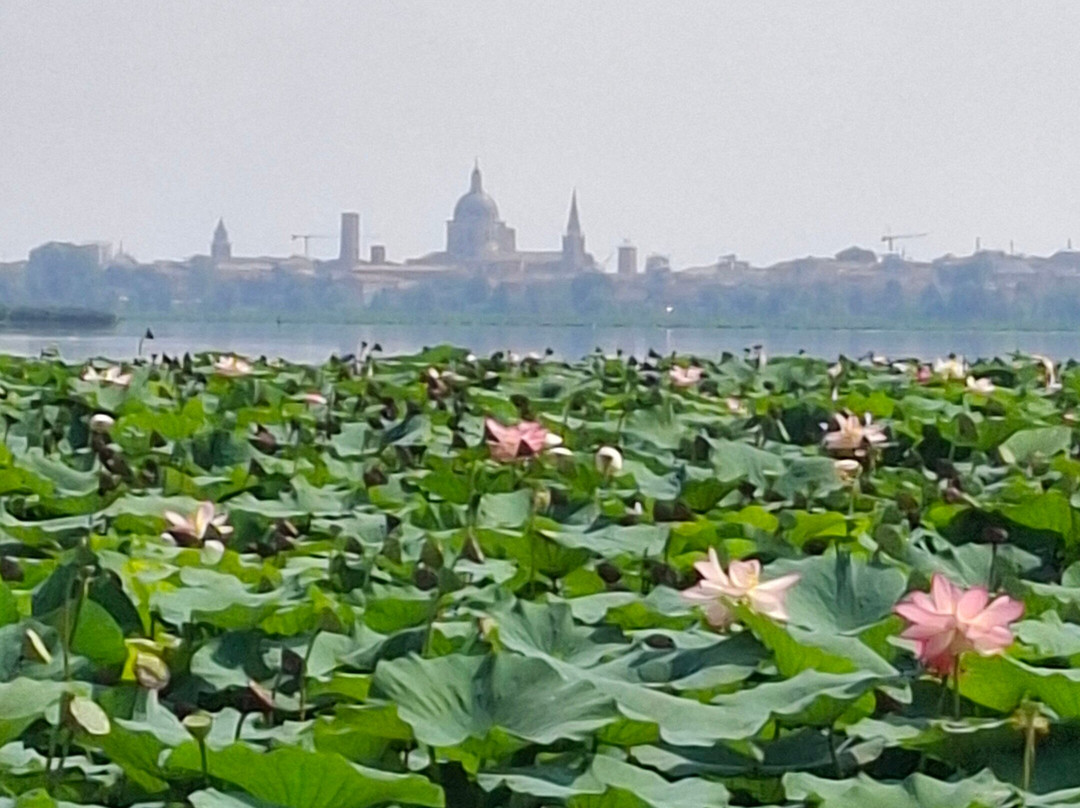 Motonavi Andes Negrini Day Tours-曼托瓦必去景点