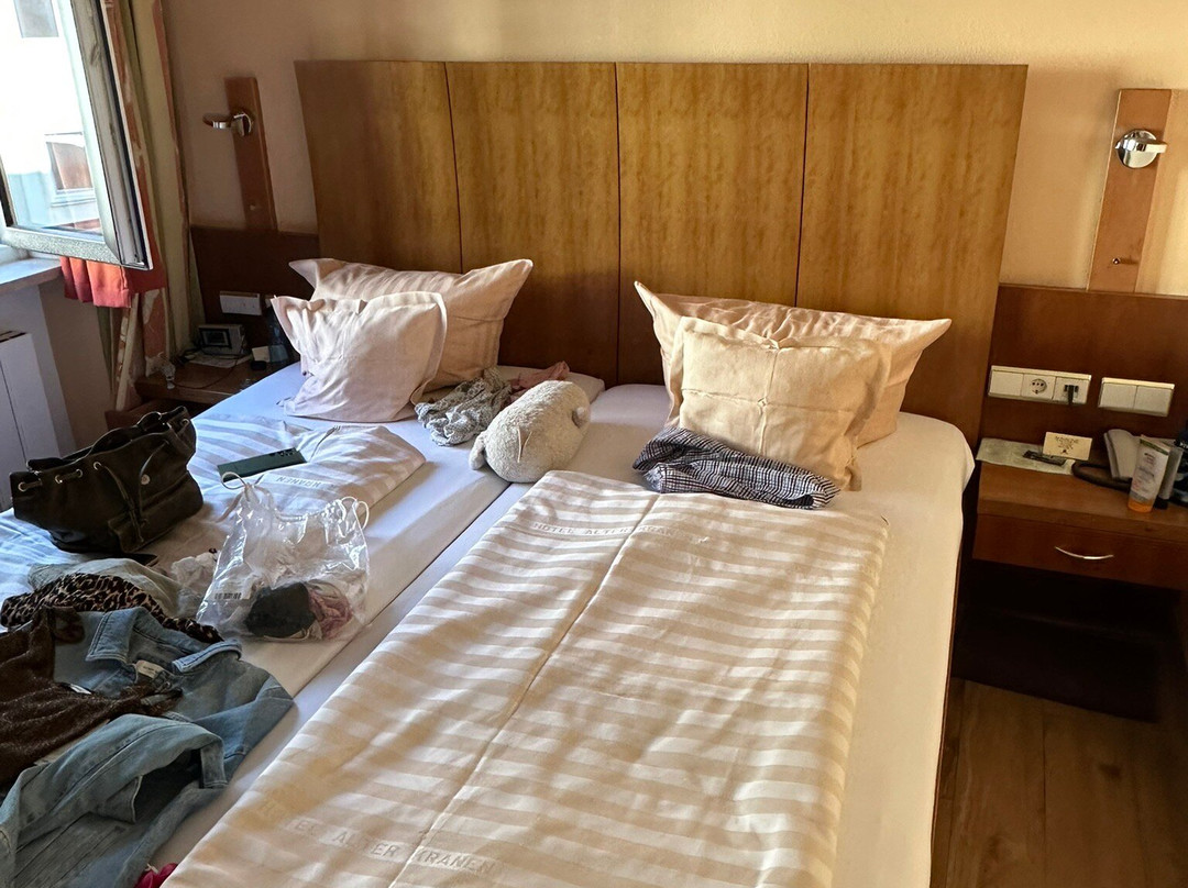 奥尔特克拉能酒店主图