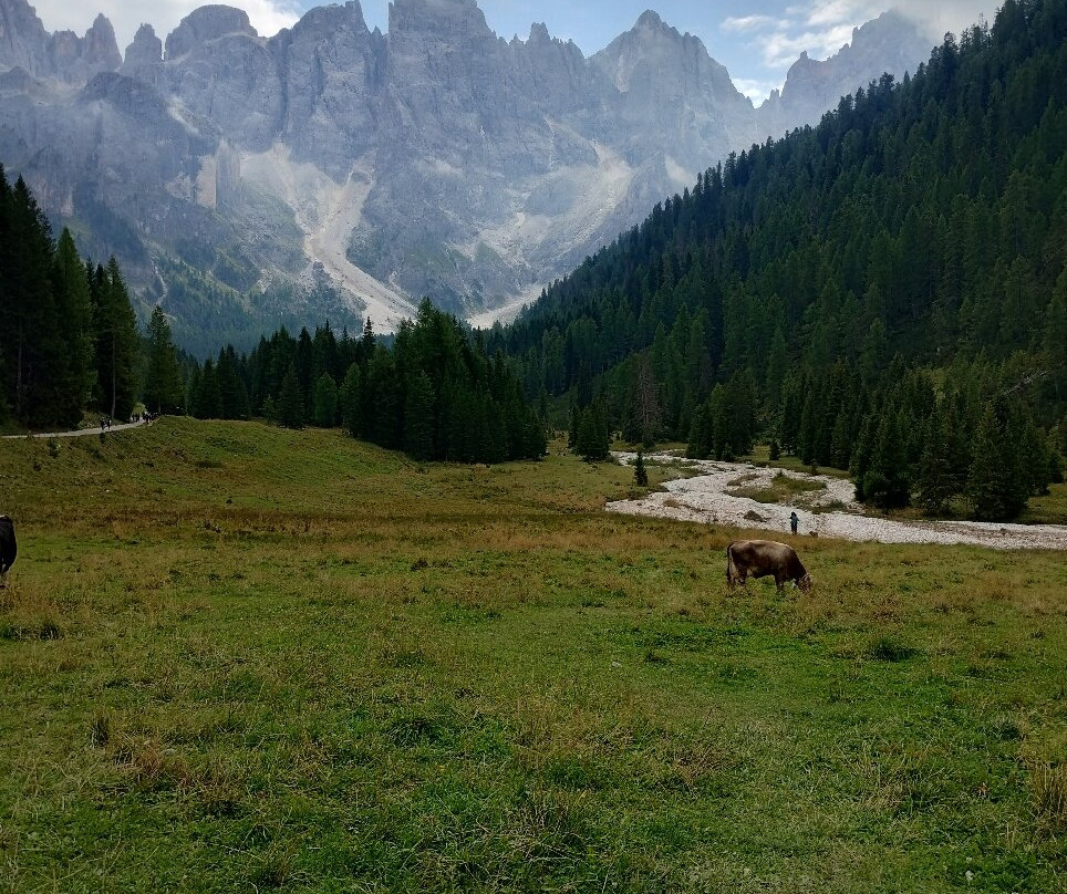 Val Venegia e Baita Segantini-特伦托必去景点