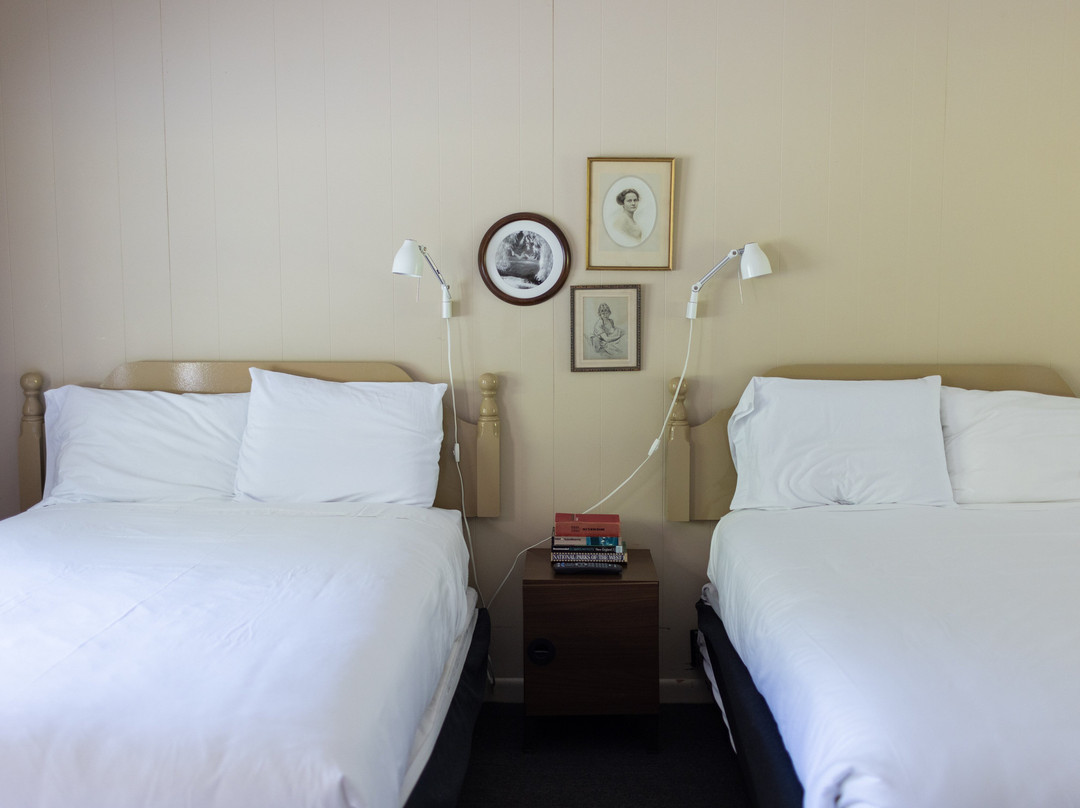 The Little Lion主图