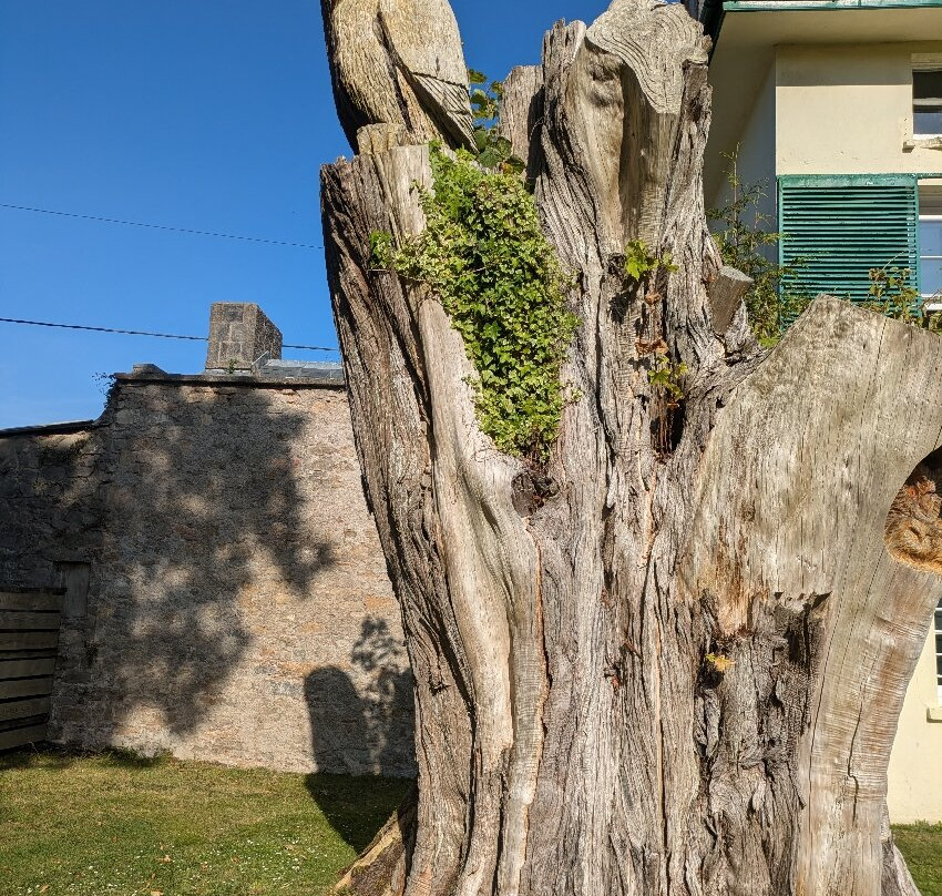 Elm Grove Country House主图