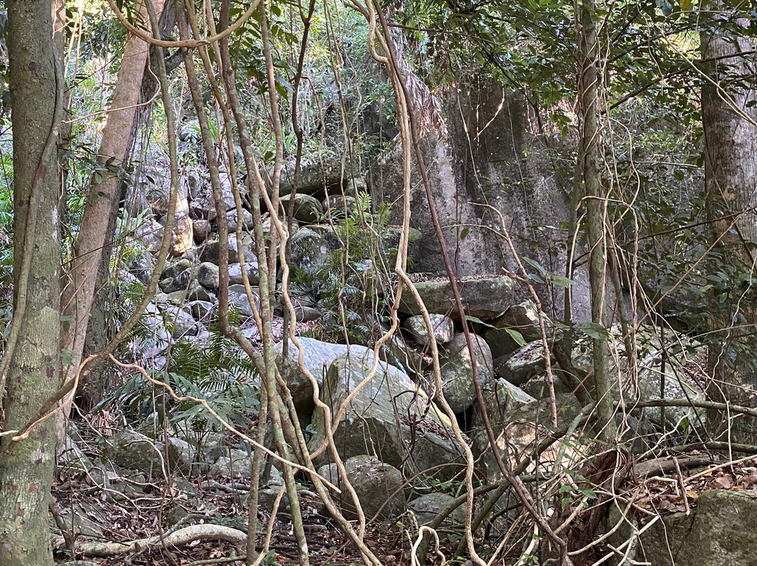 Fitzroy Island National Park-菲茨罗伊岛必去景点