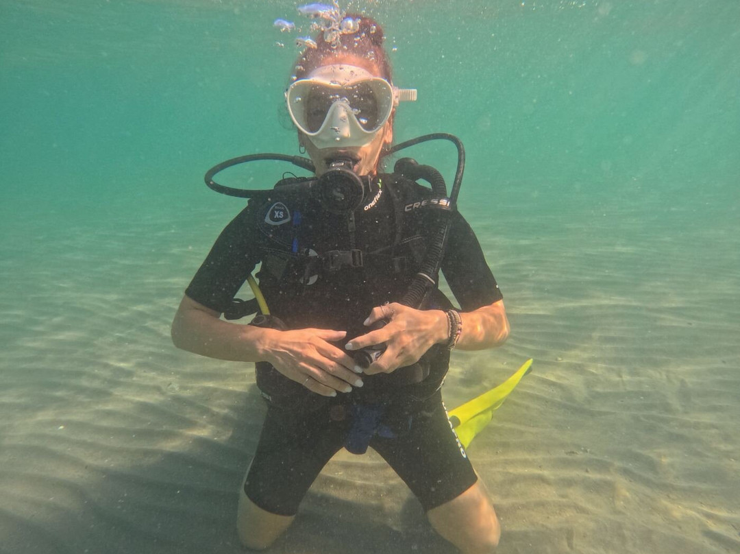 AegeanSeals Diving Center-Khalkis必去景点