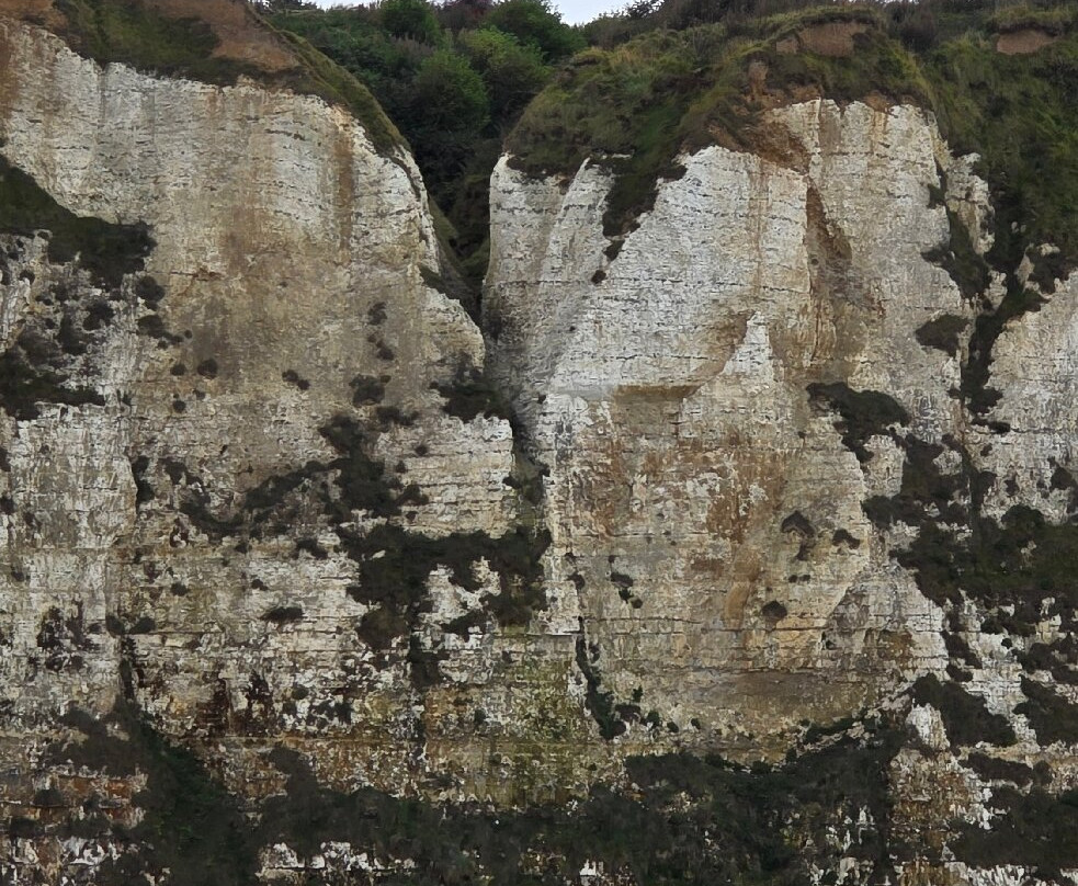 Eros bateau promenade-Saint-Valery-en-Caux必去景点