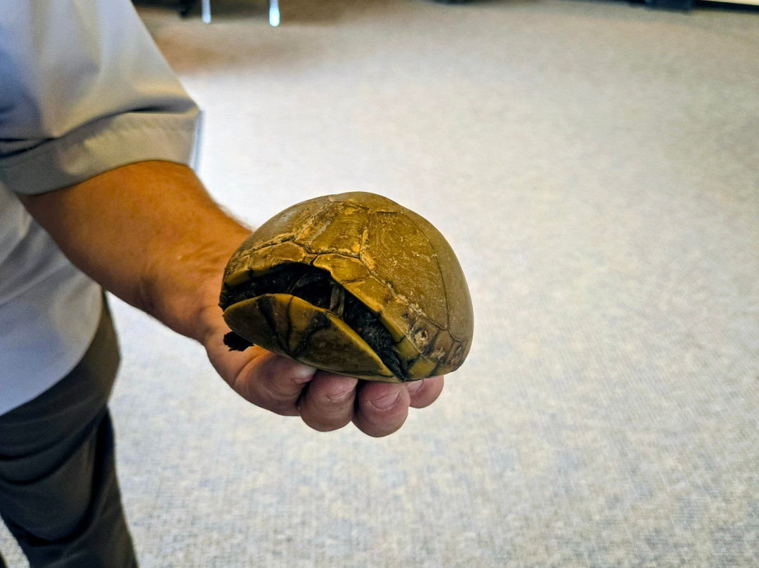 Zootah At Willow Park-洛根必去景点