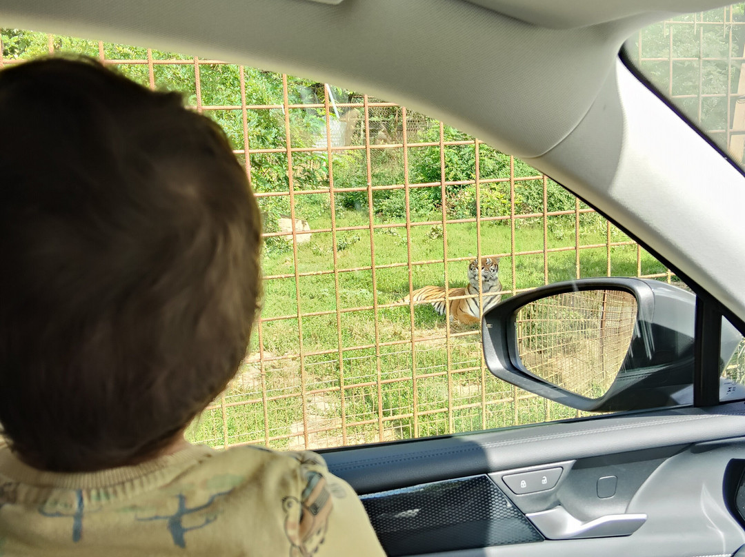 Parco Safari delle Langhe-Murazzano必去景点