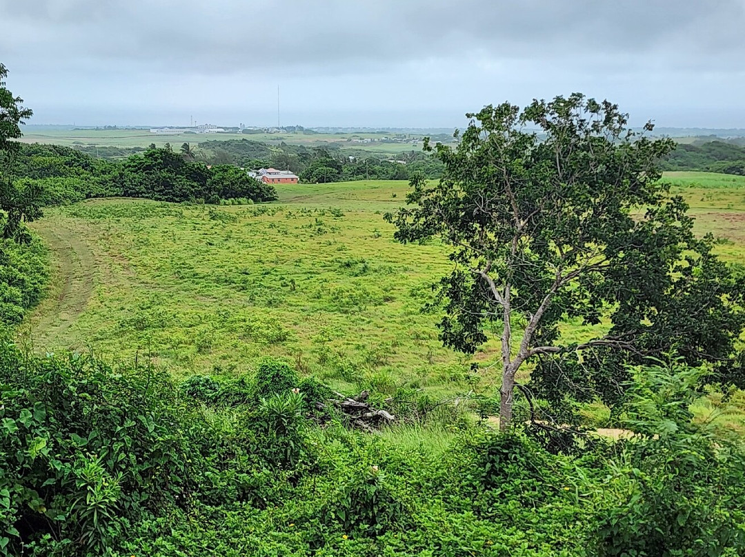 St. Nicholas Abbey Heritage Railway