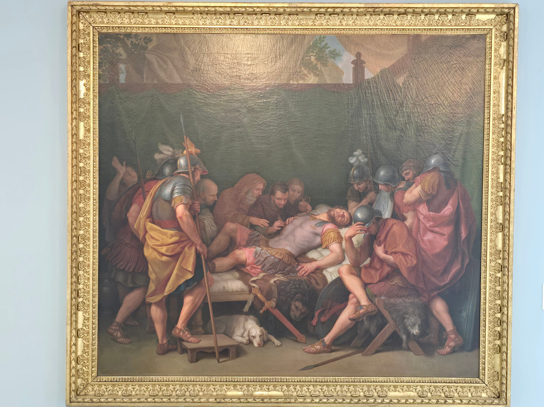 Museo Delle Belle Arti-尚贝里必去景点