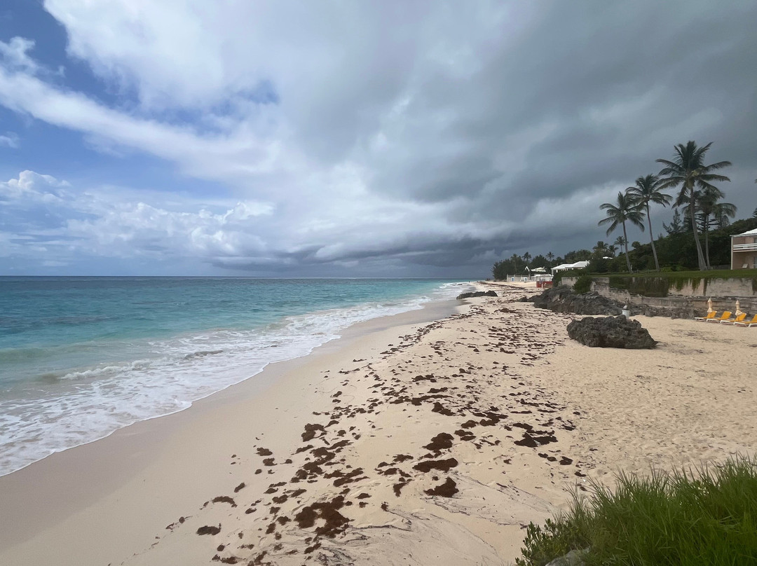 百慕大可可礁酒店主图