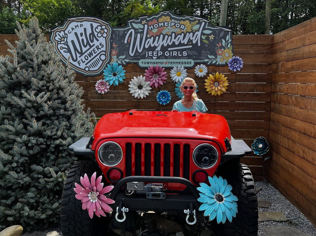 Townsend River Breeze Inn主图