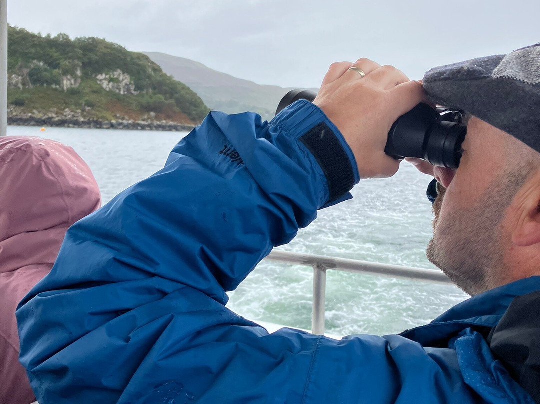 Stardust Boat Trips Portree-Portree必去景点