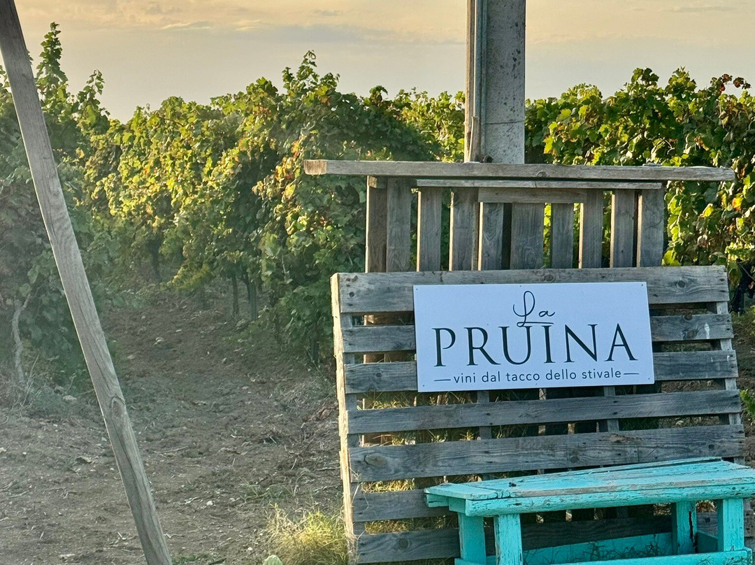La Pruina-Torre Santa Susanna必去景点