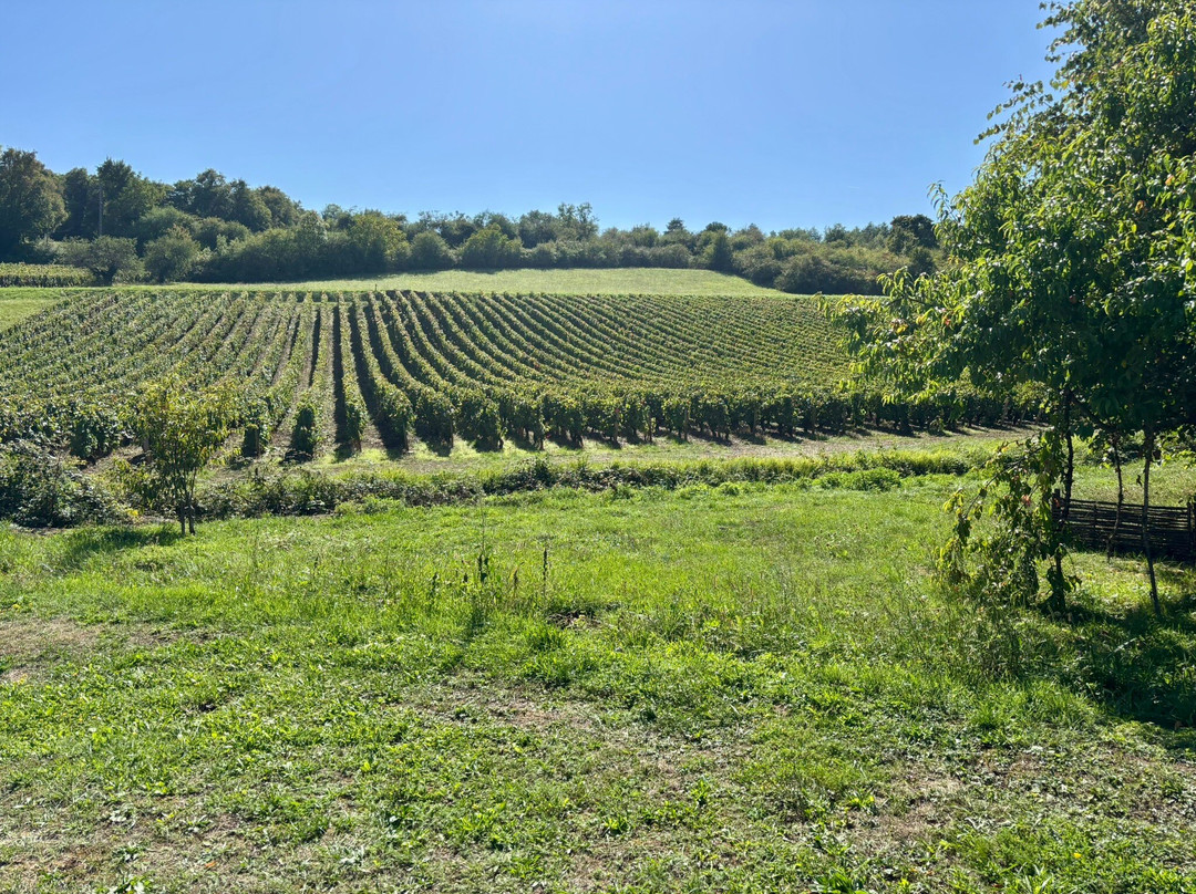 Domaine de la Combotte主图