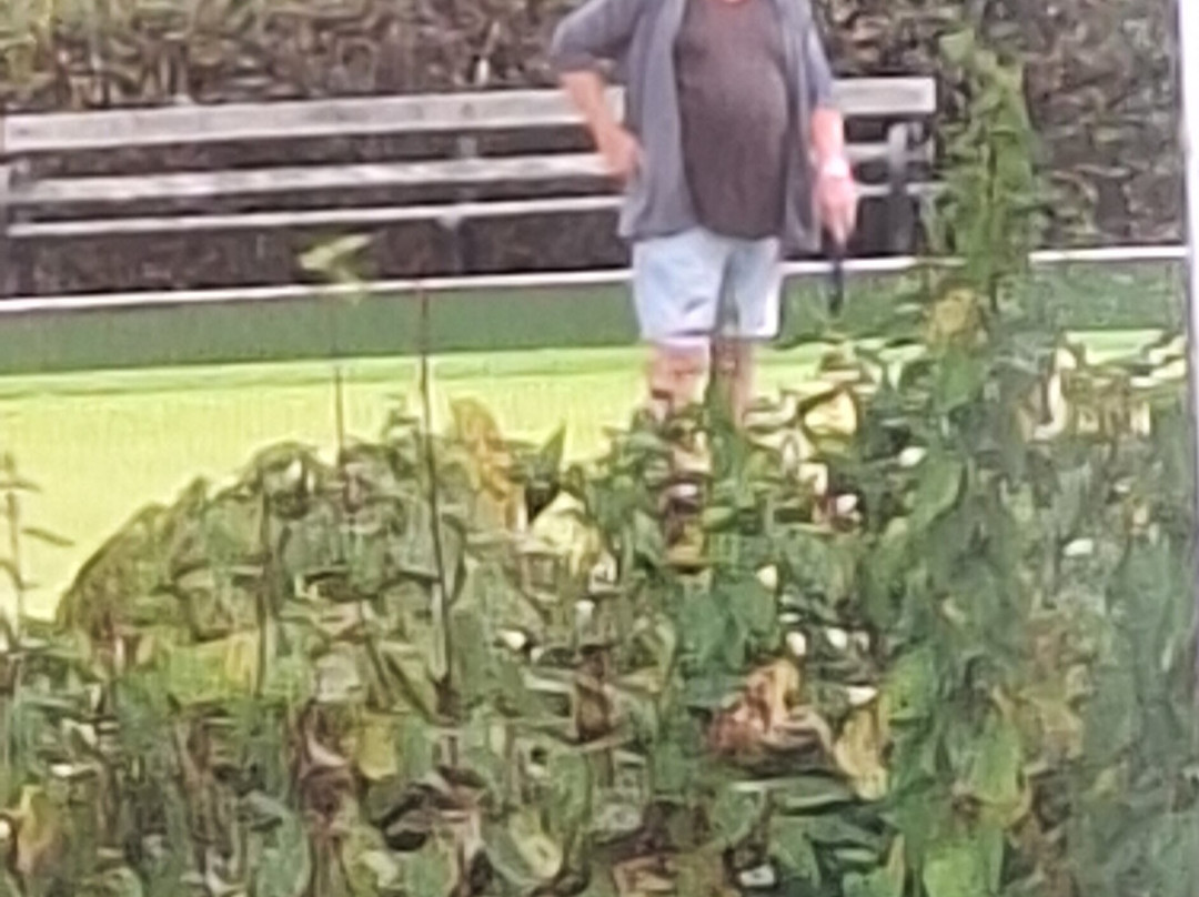 Backworth Hall-Backworth必去景点