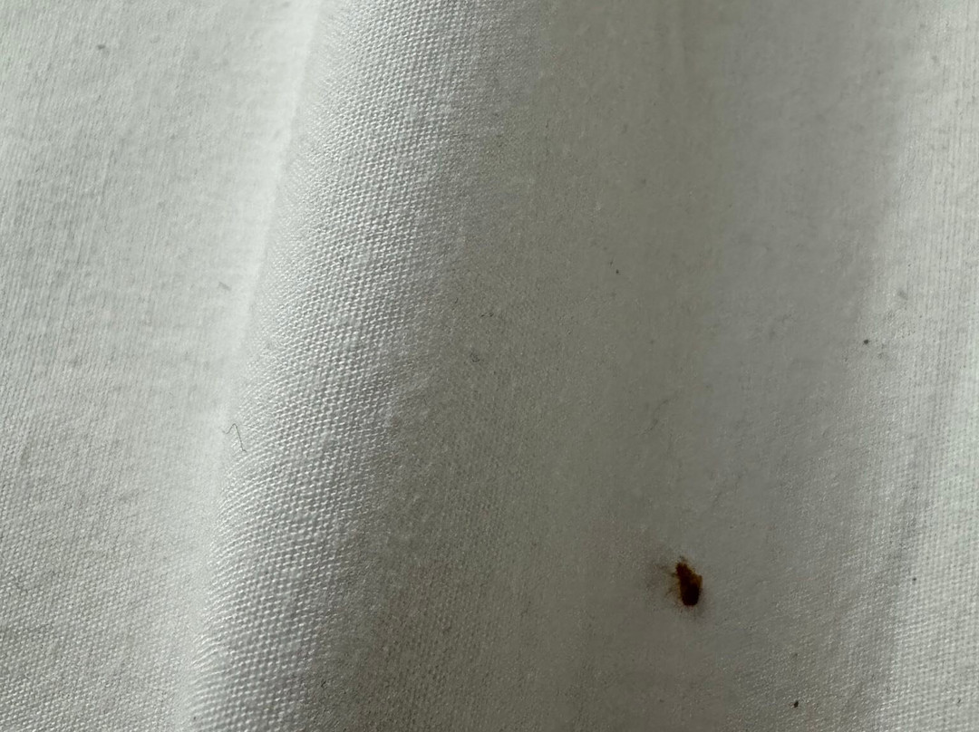 北哥伦布凯悦普雷斯酒店主图