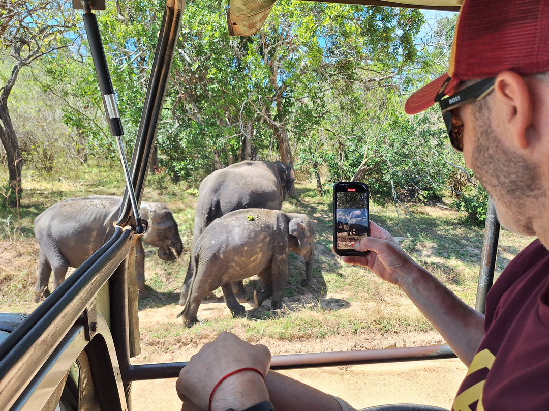 Hola Sri Lanka Tours-凯拉尼亚必去景点