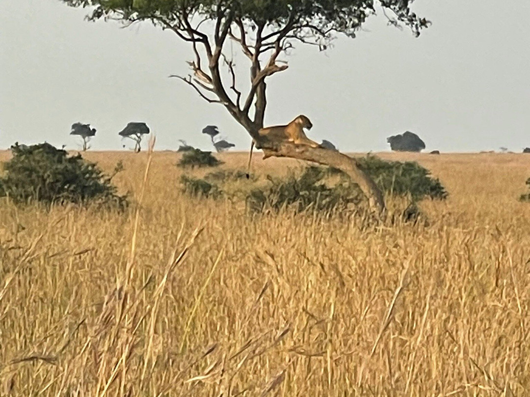 Wild Untouched Adventure-恩德培必去景点