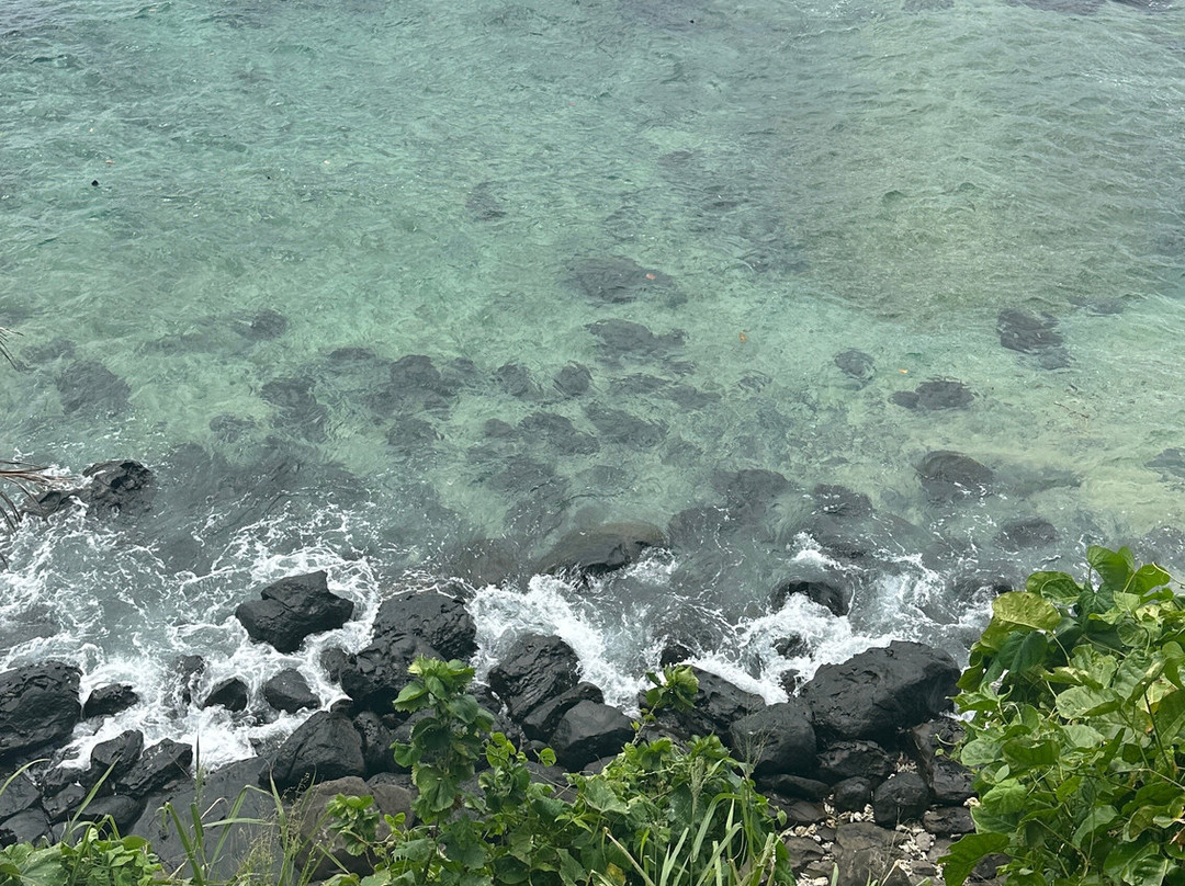 Reef Life Taveuni-马太必去景点