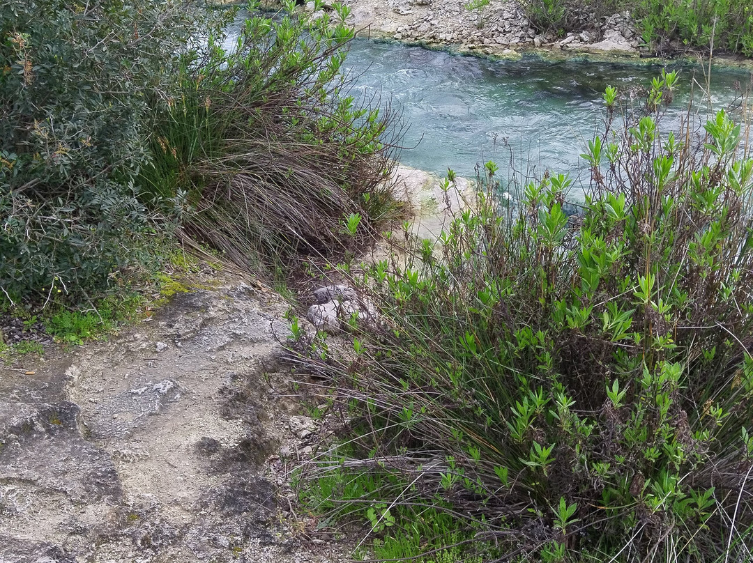 Thermopyles Hot Springs-Thermopylae必去景点