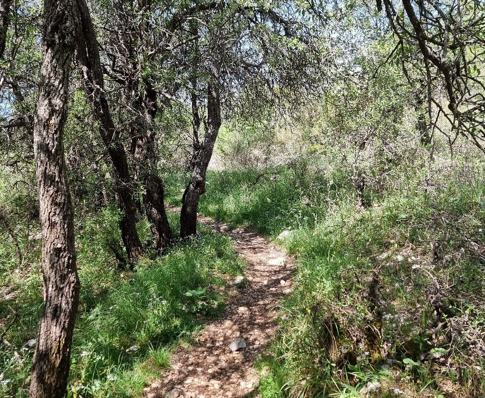 Jabal Moussa Biosphere Reserve-Keserwan District必去景点