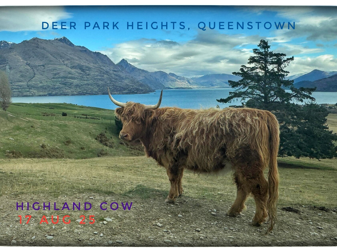 Deer Park Heights-皇后镇必去景点