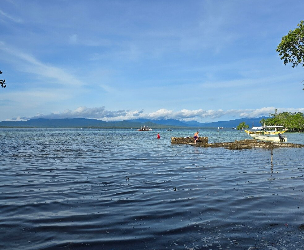 Divepuertoprincesa Dive Center-公主港必去景点