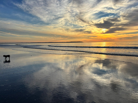 Alouette Beach Resort主图