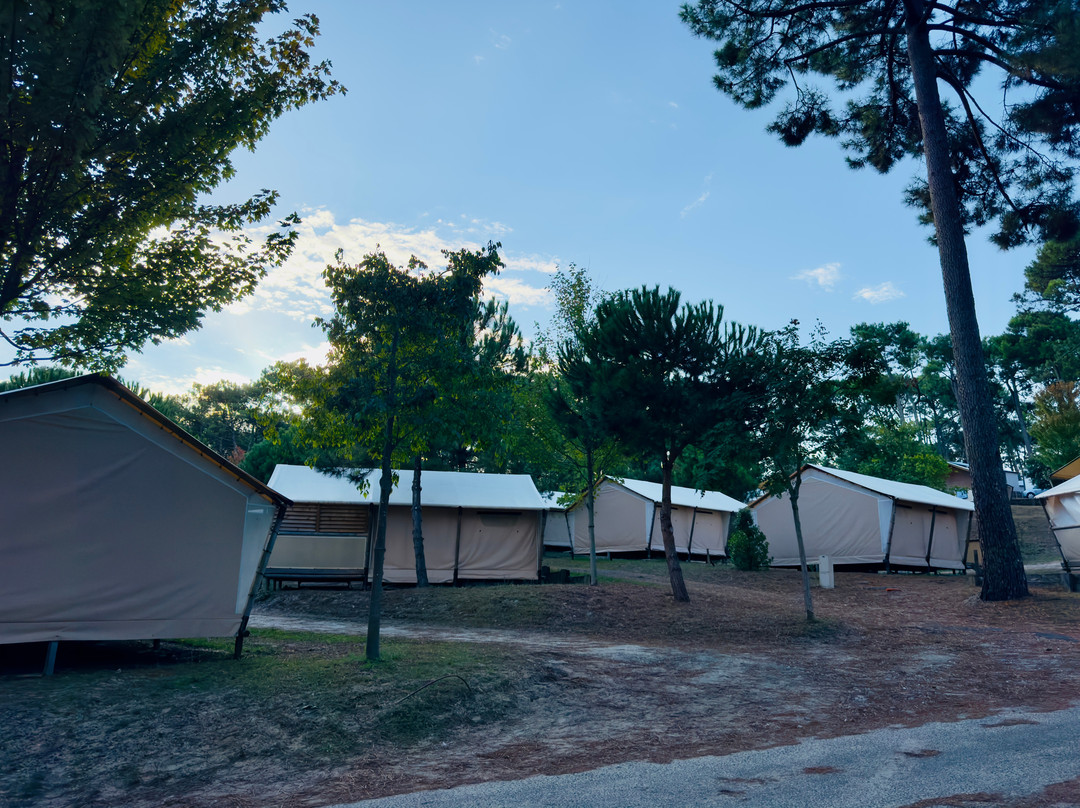 Camping Club Plage Sud - MS Vacances