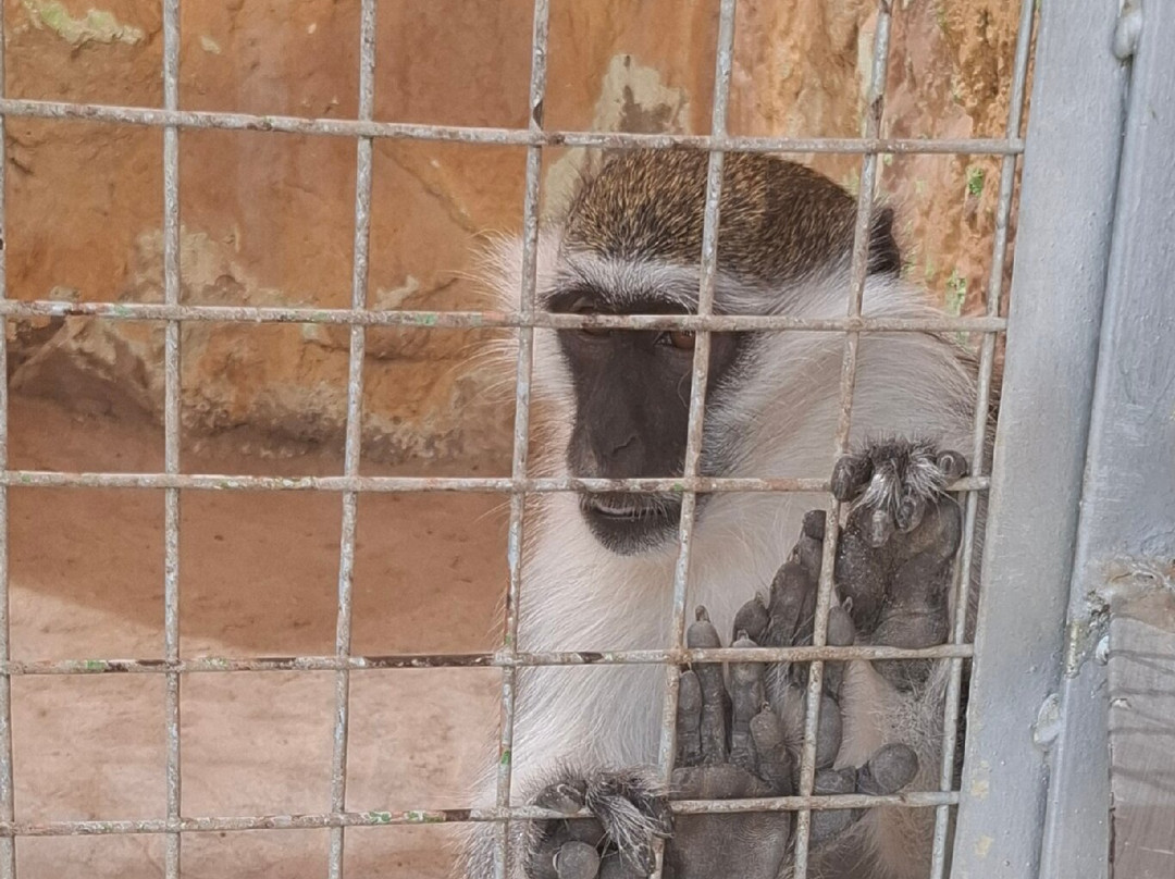 Hurghada Grand Aquarium-赫尔格达必去景点