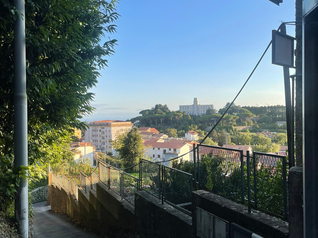 山野魅力酒店主图