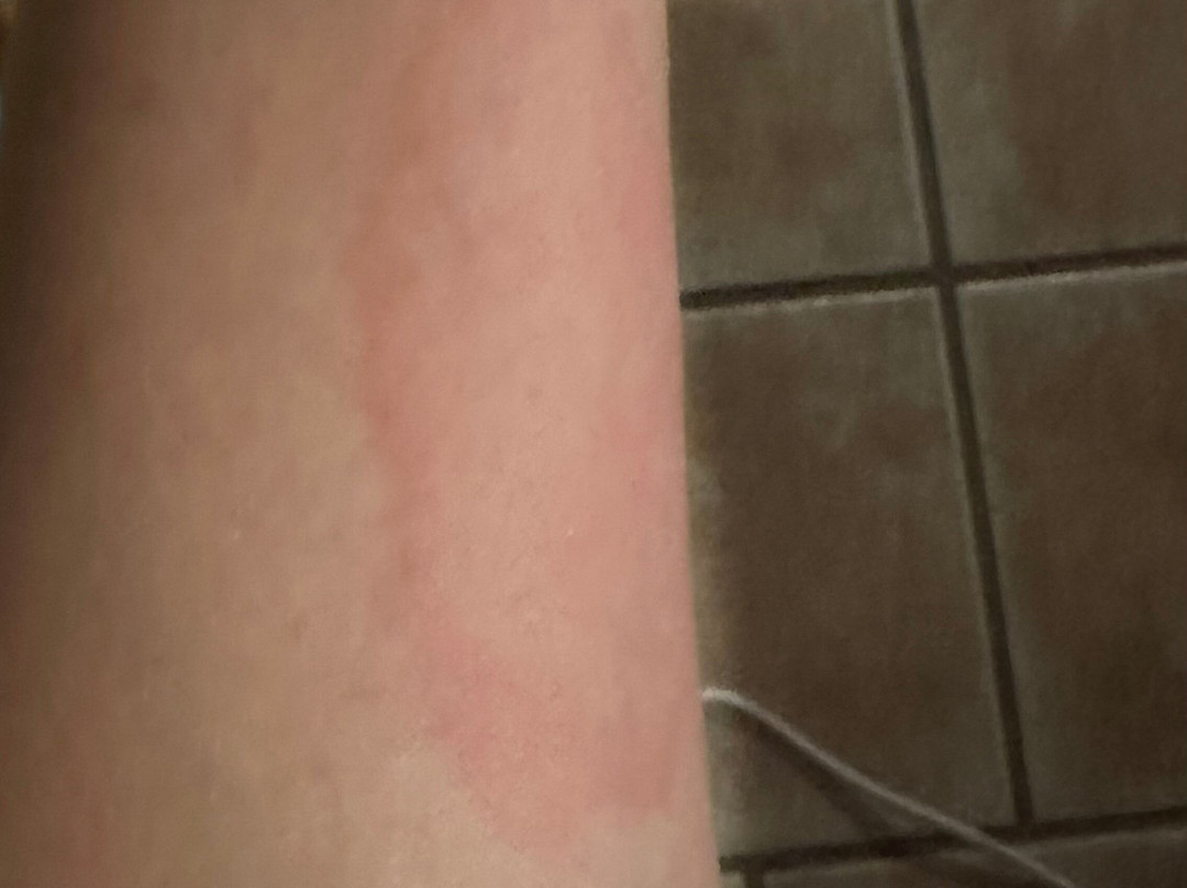 Finca Canarias Aloe Vera-San Agustin必去景点