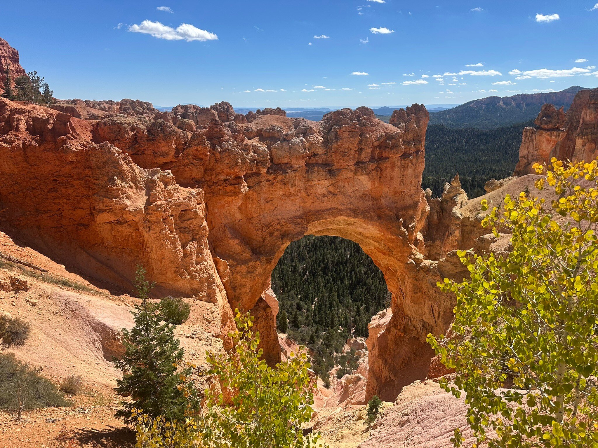 Canyons Lodge - A Canyons Collection Property-官方