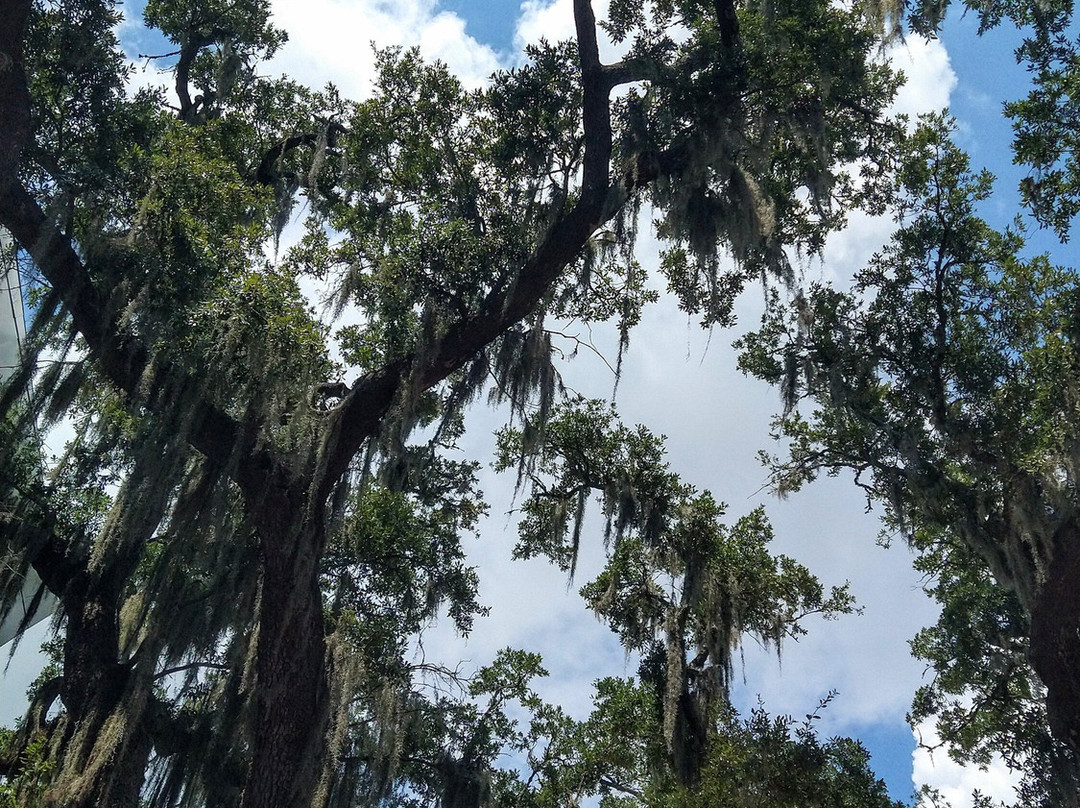 Ohr-O'Keefe Museum of Art-比洛克西必去景点