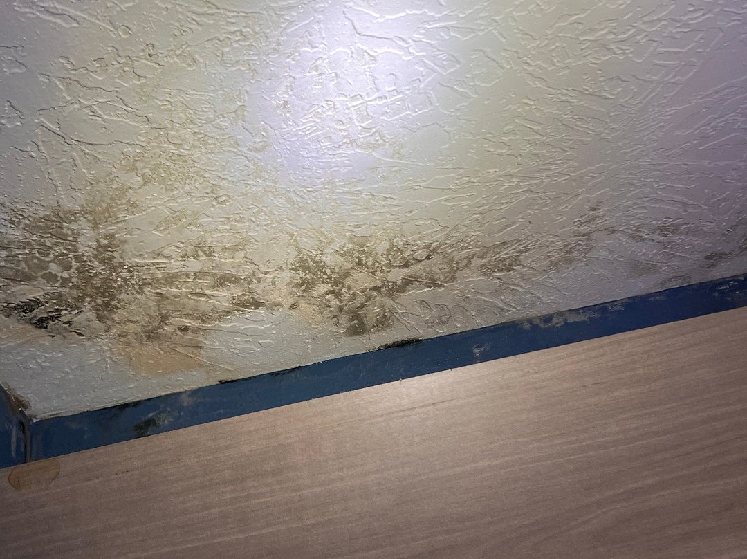 Holiday Inn Express Augusta Downtown By IHG主图