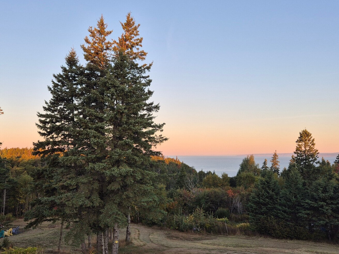 Tides Inn Hall's Harbour主图