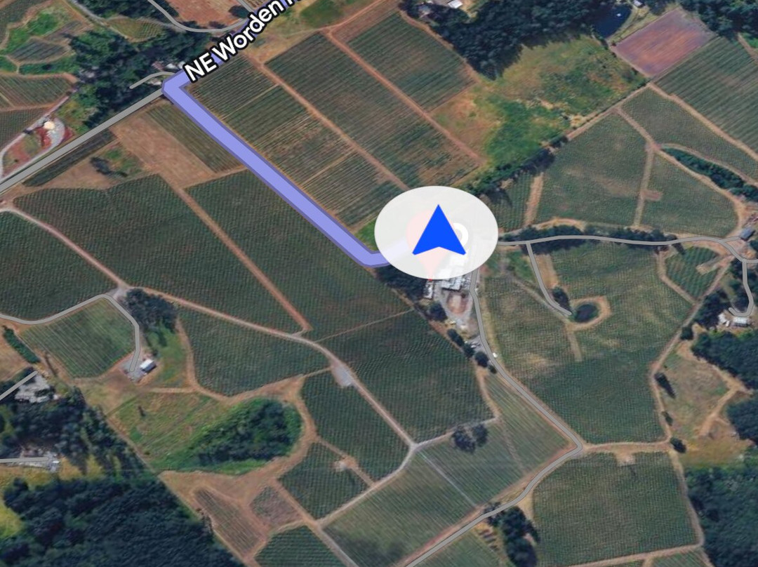 Alexana Winery-纽伯格必去景点