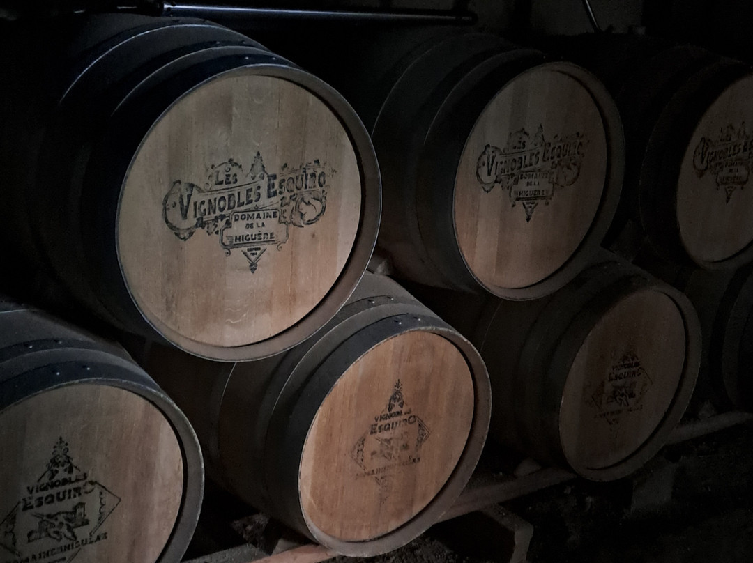 Domaine de La Higuere , Vignobles Esquiro-Mirepoix必去景点