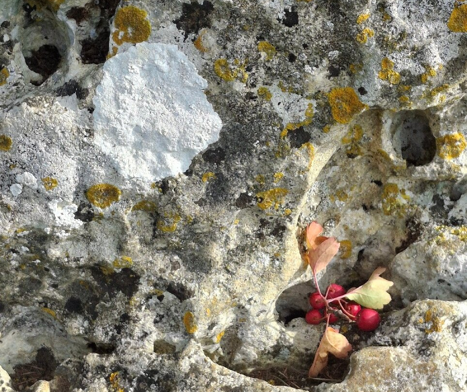 Rollright Stones-Rollright必去景点