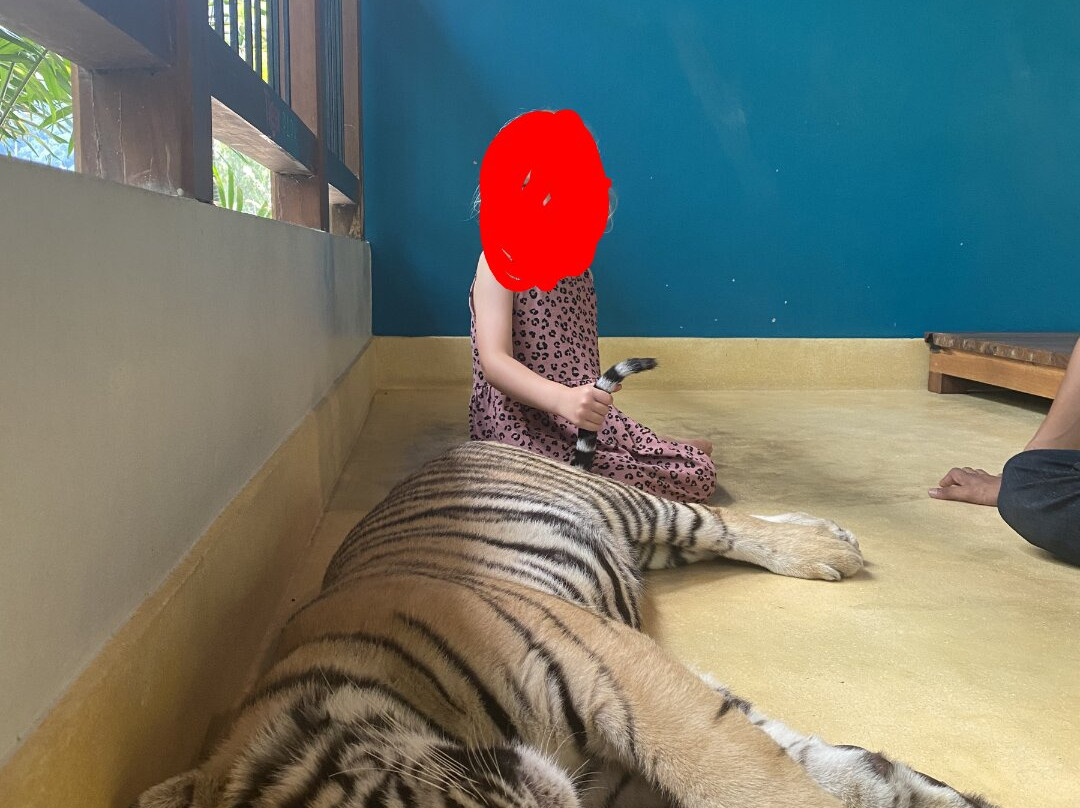 Tiger PARK Phuket-查龙必去景点