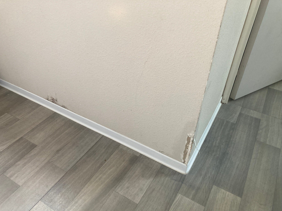 Adonis Hotel Bayonne主图