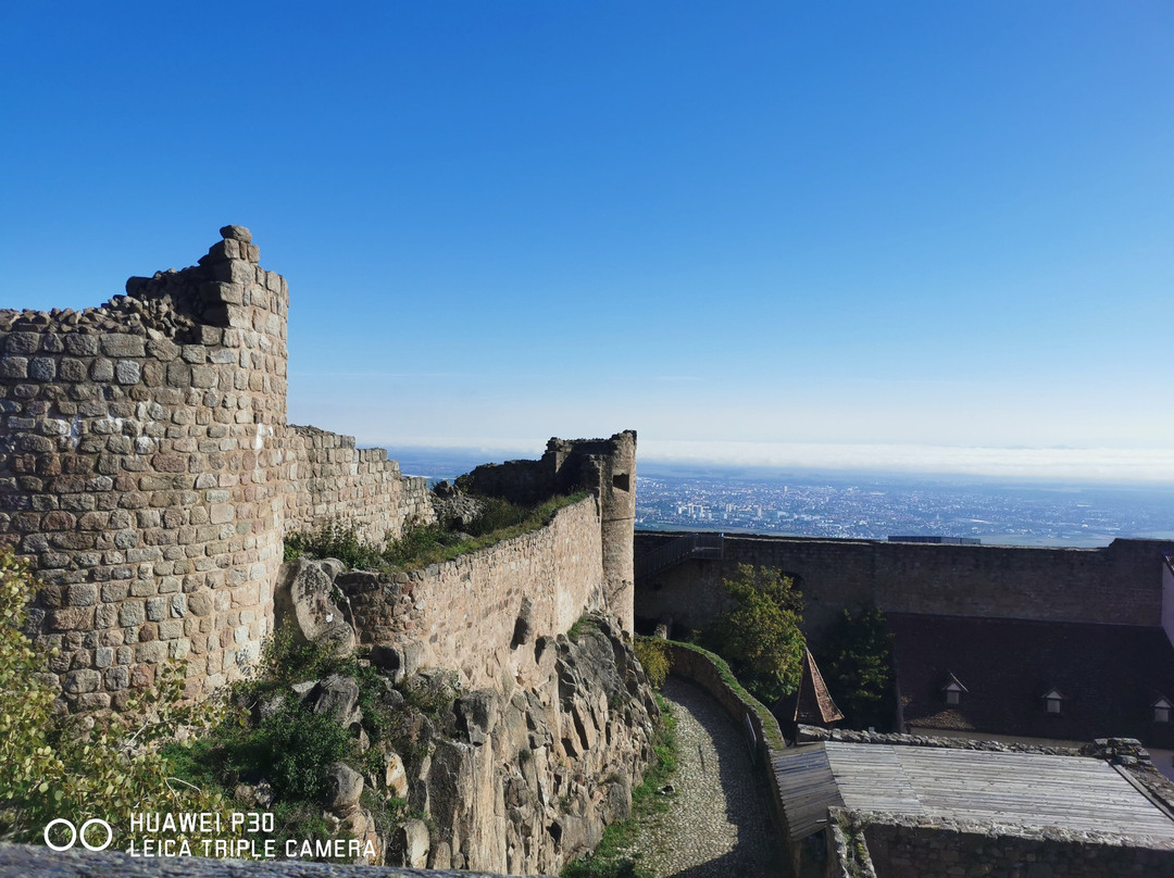 Château du Hohlandsbourg-Wintzenheim必去景点