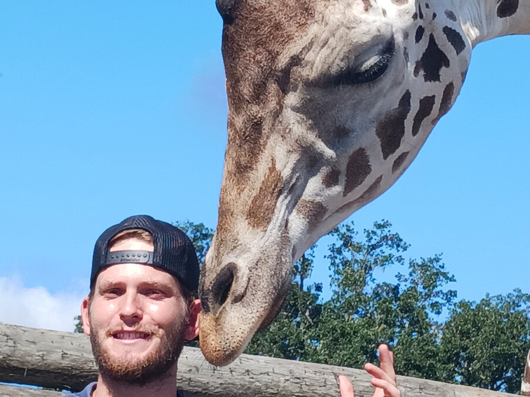 Giraffe Ranch-Dade City必去景点